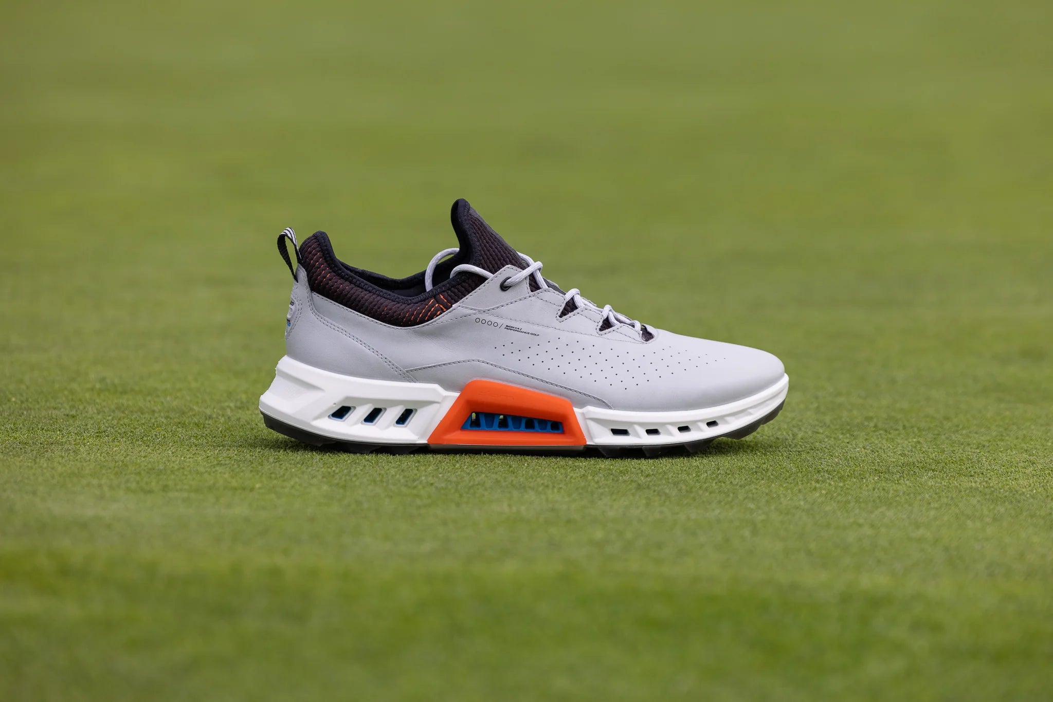 write a blog about The Best Golf Shoes for Casual Wear