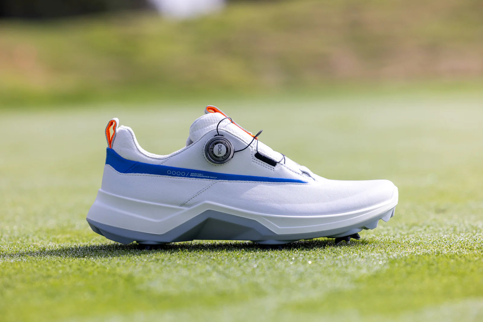 write a blog about The Best Golf Shoes for Walking 18 Holes