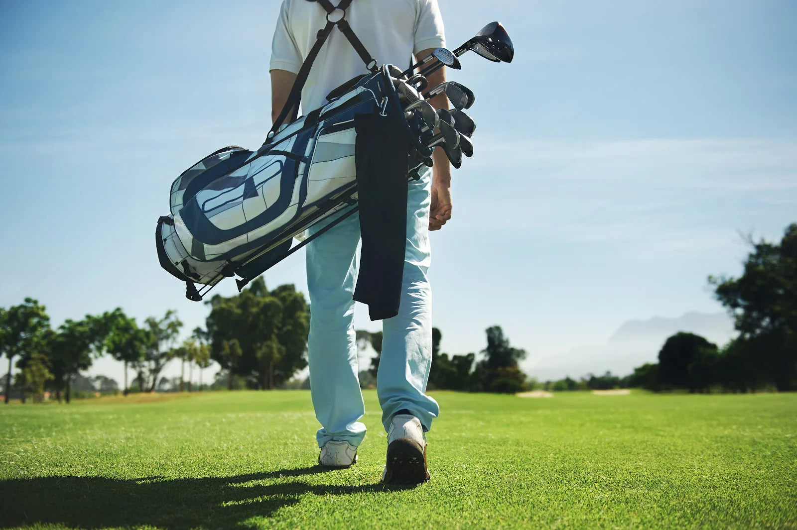 write a blog about The Top 10 Golf Bags of the Year