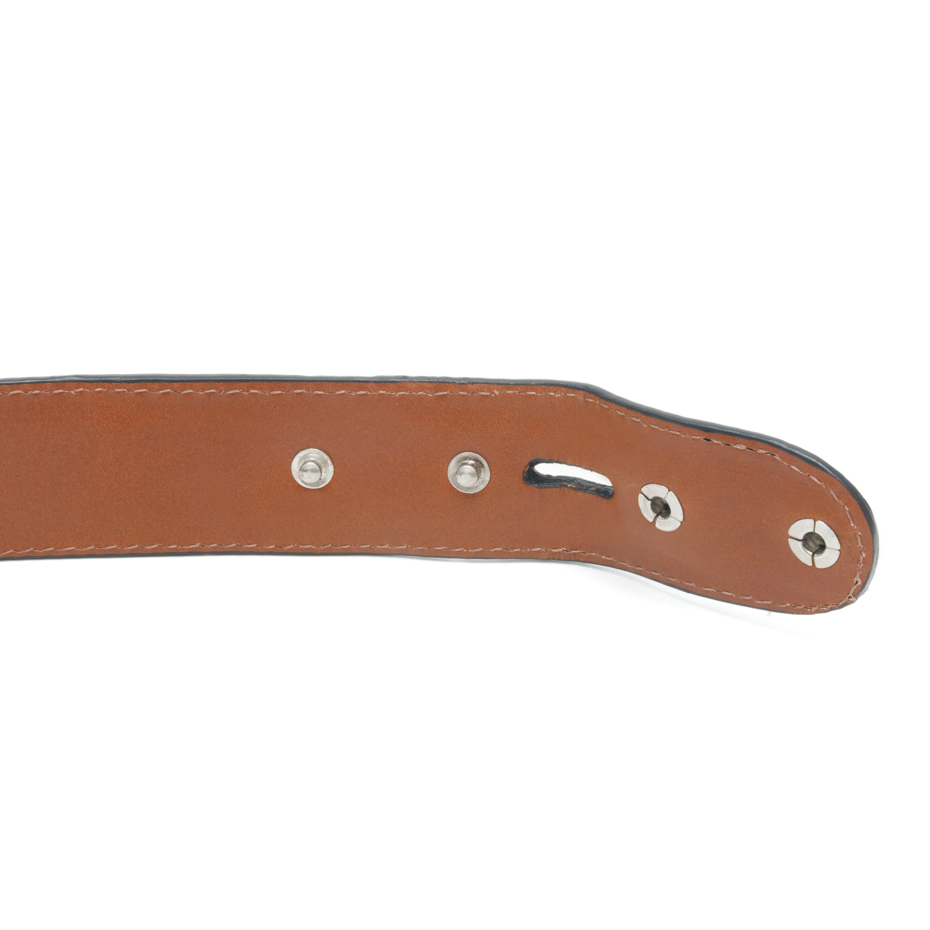 custom shark belt
